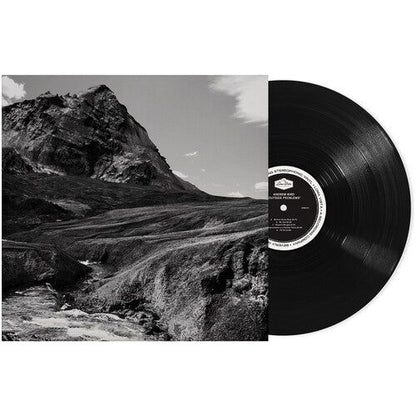 Andrew Bird - Outside Problems - LP { Vinyl LP }