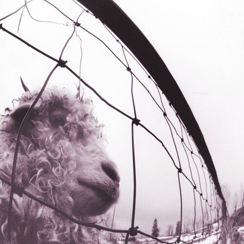 Pearl Jam - Vs. (30th Anniversary) - LP { Vinyl LP }