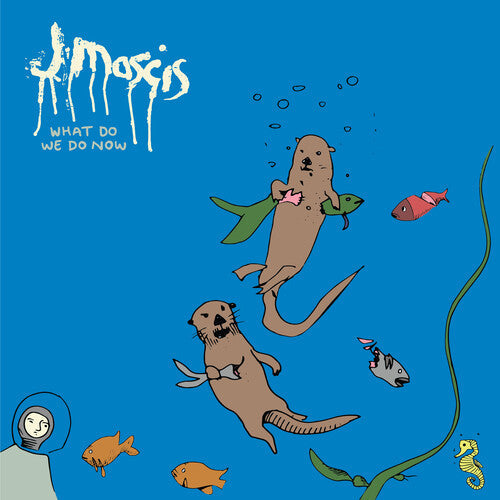 J Mascis - What Do We Do Now - LP { Vinyl LP }