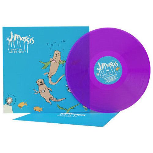 J Mascis - What Do We Do Now - LP { Vinyl LP }