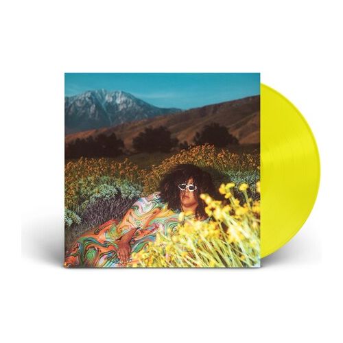Brittany Howard - What Now - LP { Vinyl LP }