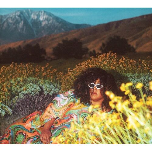 Brittany Howard - What Now - LP { Vinyl LP }
