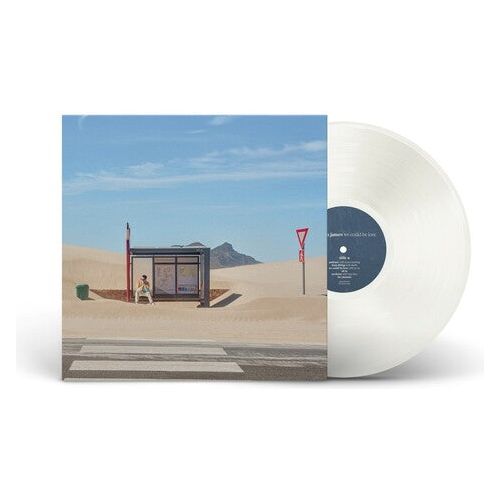Hayden James - We Could Be Love - LP { Vinyl LP }