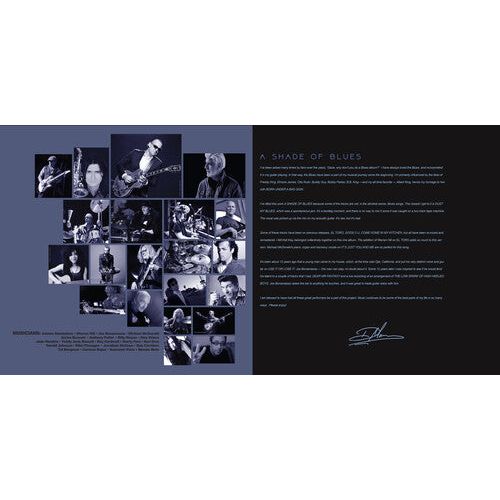 Dave Mason - A Shade of Blues - LP { Vinyl LP }