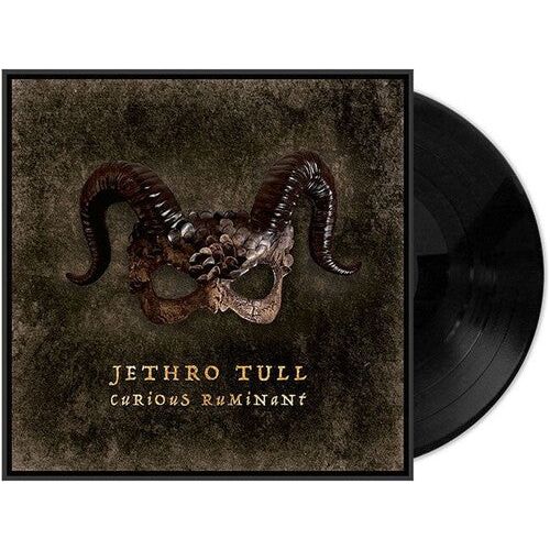 Jethro Tull - Curious Ruminant - LP { Vinyl LP }