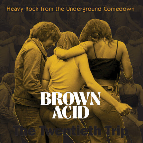 Various Artists - Brown Acid: The Twentieth Trip - LP { Vinyl LP }
