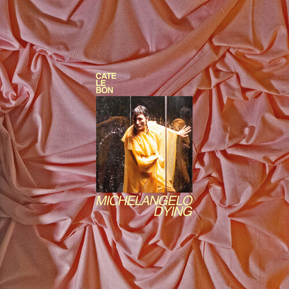 Cate Le Bon - Michelangelo Dying - Indie LP { Vinyl LP }