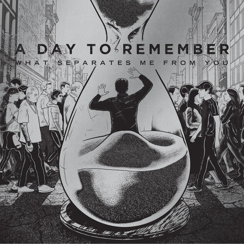 A Day to Remember - What Separates Me From You - LP { Vinyl LP }