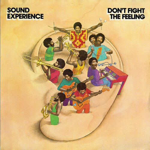 Sound Experience - Don't Fight the Feeling - LP { Vinyl LP }
