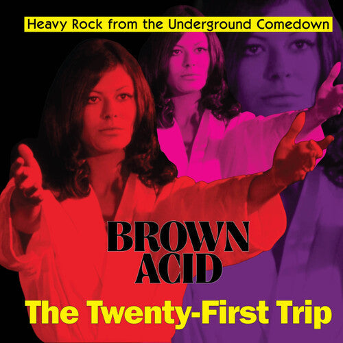 Various Artists - Brown Acid: The Twenty-First Trip - LP { Vinyl LP }