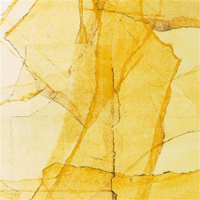Wadada Leo Smith & Amina Claudine Myers - Central Park's Mosaics of Reservoir, Lake, Paths and Gardens - Indie LP { Vinyl LP }