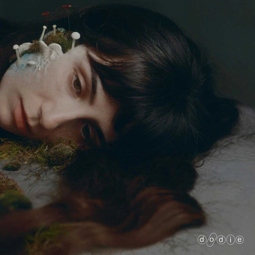 dodie - Not For Lack Of Trying - LP { Vinyl LP }