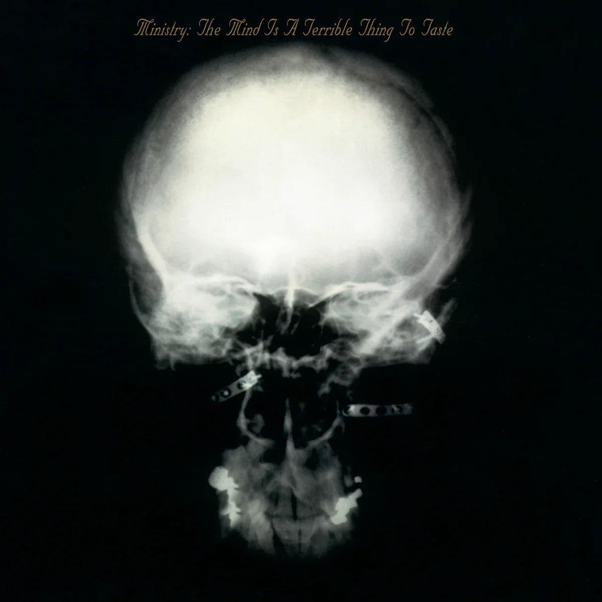 Ministry - The Mind is a Terrible Thing to Taste (Expanded) - Rocktober LP { Vinyl LP }