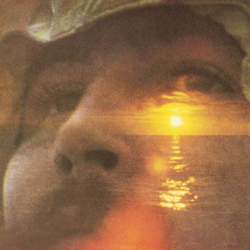 David Crosby - If I Could Only Remember My Name - Analogue Productions 45rpm LP { Vinyl LP }