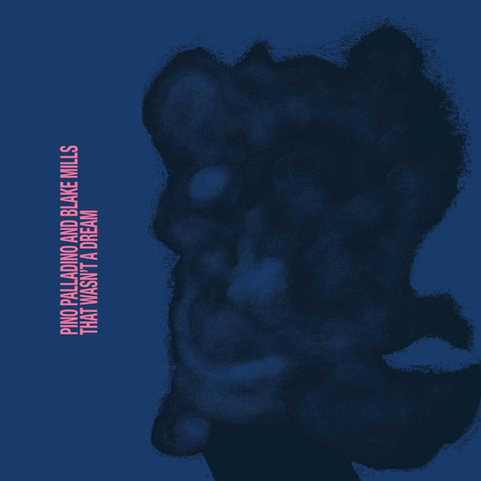 Pino Palladino & Blake Mills - That Wasn't a Dream - LP { Vinyl LP }