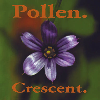 Pollen - Crescent - LP { Vinyl LP }