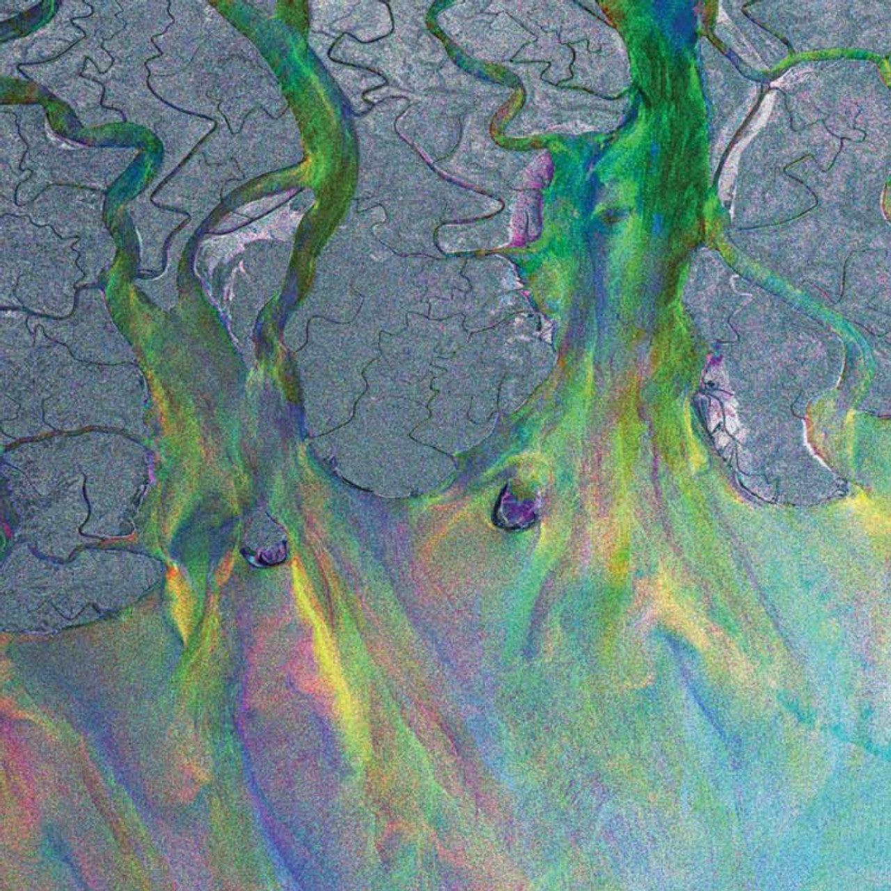 Alt-J - An Awesome Wave - SYEOR LP { Vinyl LP }