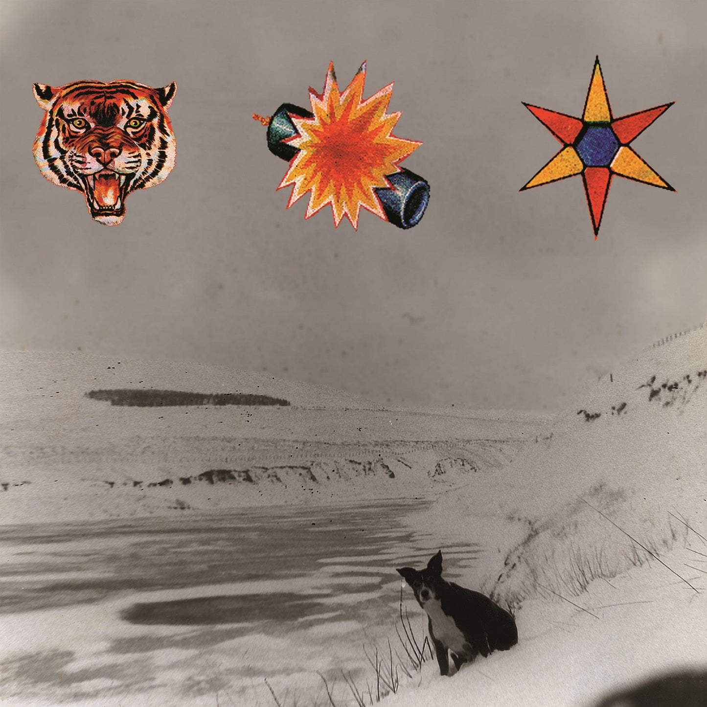 The Beta Band - The Three E.P's - LP { Vinyl LP }