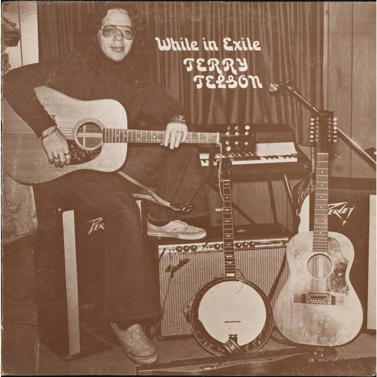 Terry Telson - While in Exile - LP { Vinyl LP }