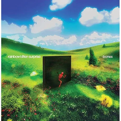 Rainbow Kitten Surprise - bones - LP { Vinyl LP }