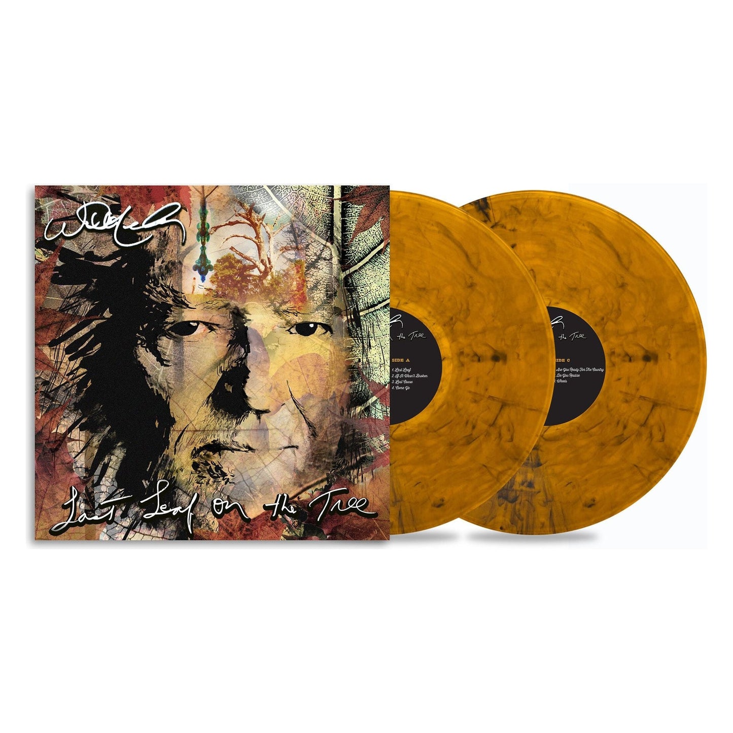 Willie Nelson - Last Leaf on the Tree - LP { Vinyl LP }