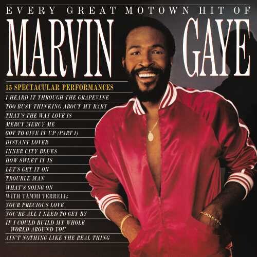 Marvin Gaye - Every Great Motown Hit Of Marvin Gaye: 15 Spectacular Performances - LP { Vinyl LP }