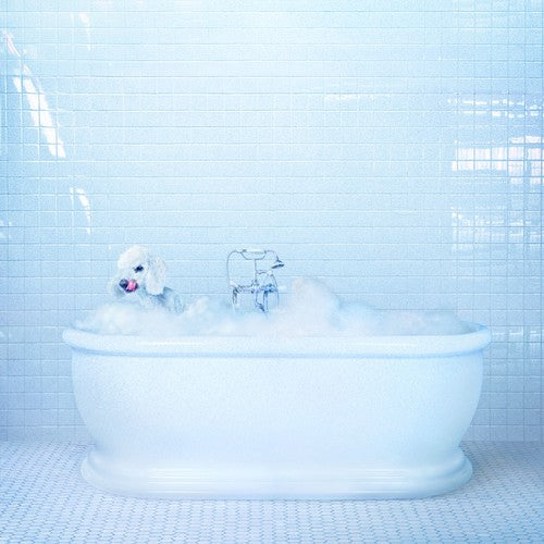Frankie Cosmos - Vessel - LP { Vinyl LP }