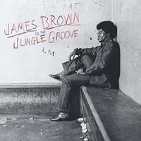 James Brown - In the Jungle Groove - LP { Vinyl LP }