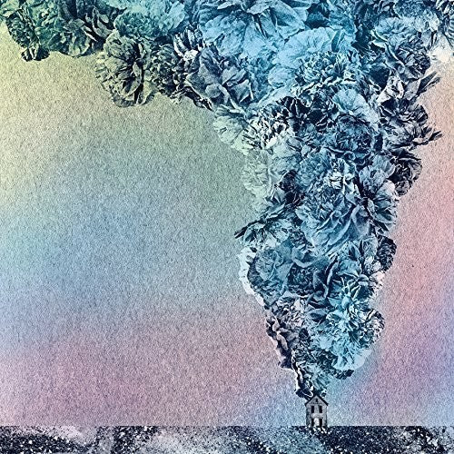 Daughn Gibson - Carnation - LP { Vinyl LP }