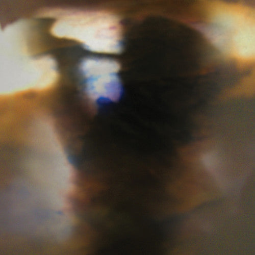 Animal Collective - Fall Be Kind - 12" EP { Vinyl LP }
