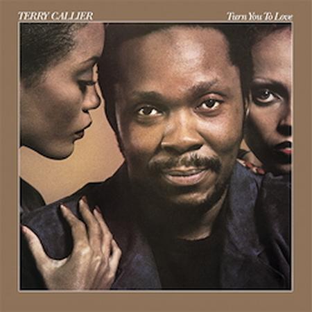 Terry Callier - Turn You To Love - Speakers Corner LP { Vinyl LP }