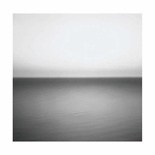 U2 - No Line On The Horizon - LP { Vinyl LP }