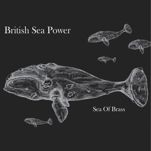 British Sea Power - Sea of Brass - LP { Vinyl LP }