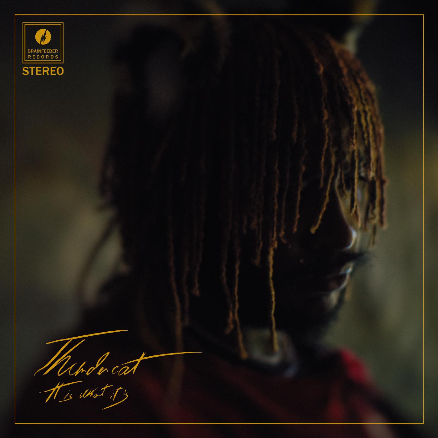 Thundercat - It Is What It Is - Red Vinyl - LP { Vinyl LP }