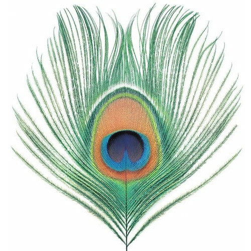 XTC - Apple Venus Vol. 1 - LP { Vinyl LP }
