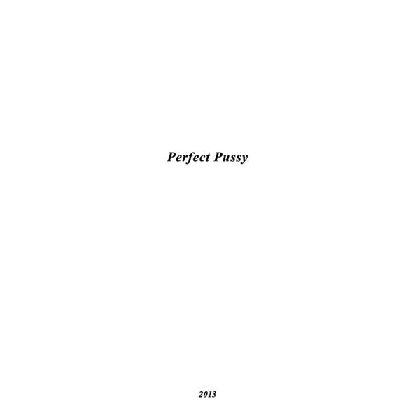 Perfect Pussy - I Have Lost All Desire for Feeling - 12" EP { Vinyl LP }