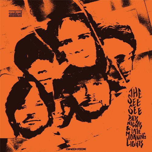 The See See - Days Nights & Late Morning Lights - LP { Vinyl LP }