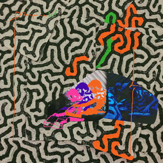 Animal Collective - Tangerine Reef - LP { Vinyl LP }