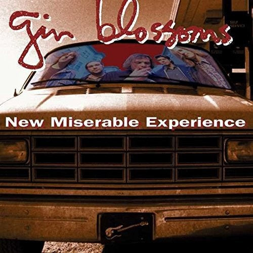 Gin Blossoms - New Miserable Experience - LP { Vinyl LP }