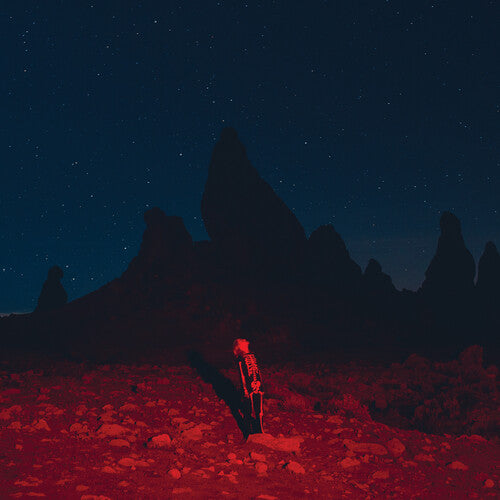 Phoebe Bridgers - Punisher - LP { Vinyl LP }