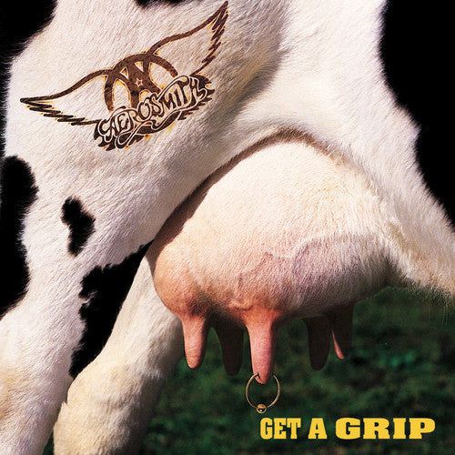 Aerosmith - Get A Grip - LP { Vinyl LP }