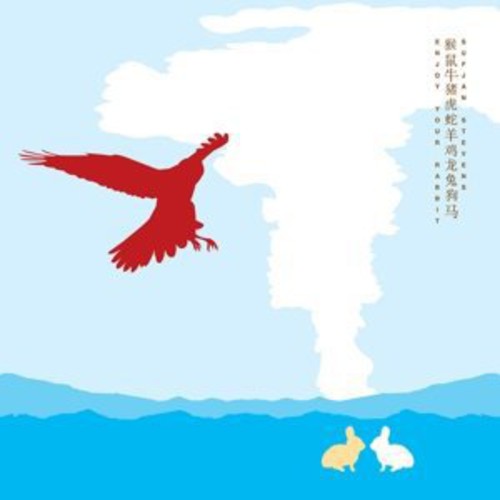 Sufjan Stevens - Enjoy Your Rabbit - LP { Vinyl LP }