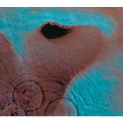 Pink Floyd - Meddle - LP { Vinyl LP }