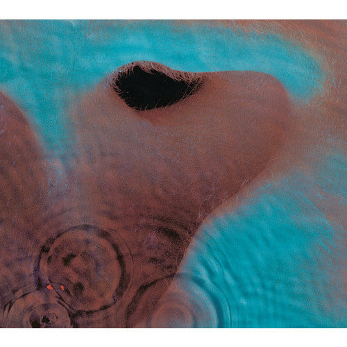 Pink Floyd - Meddle - LP { Vinyl LP }