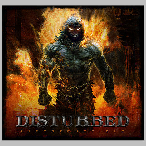 Disturbed - Indestructible - LP { Vinyl LP }