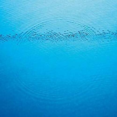 Caribou - Suddenly - LP { Vinyl LP }
