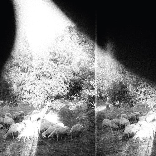 Godspeed You! Black Emperor - Asunder, Sweet and Other Distress - LP { Vinyl LP }