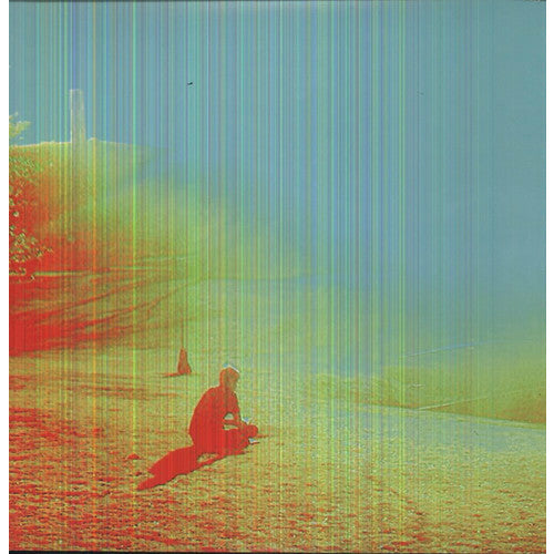 The Flaming Lips - The Terror - LP { Vinyl LP }