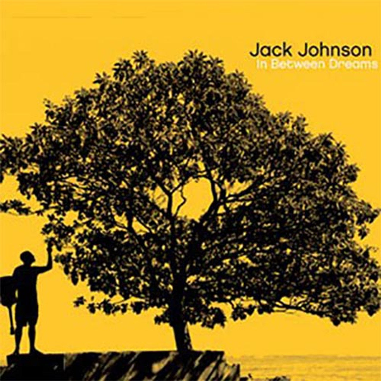 Jack Johnson - In Between Dreams (Limited Edition) - LP { Vinyl LP }