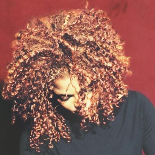 Janet Jackson - The Velvet Rope - LP { Vinyl LP }